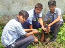 Click to enlarge Highslide JS