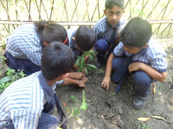 Click to enlarge Highslide JS